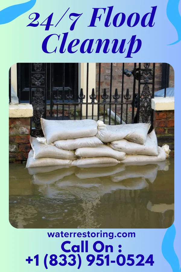 24/7 Flood Cleanup in Hackberry, TX