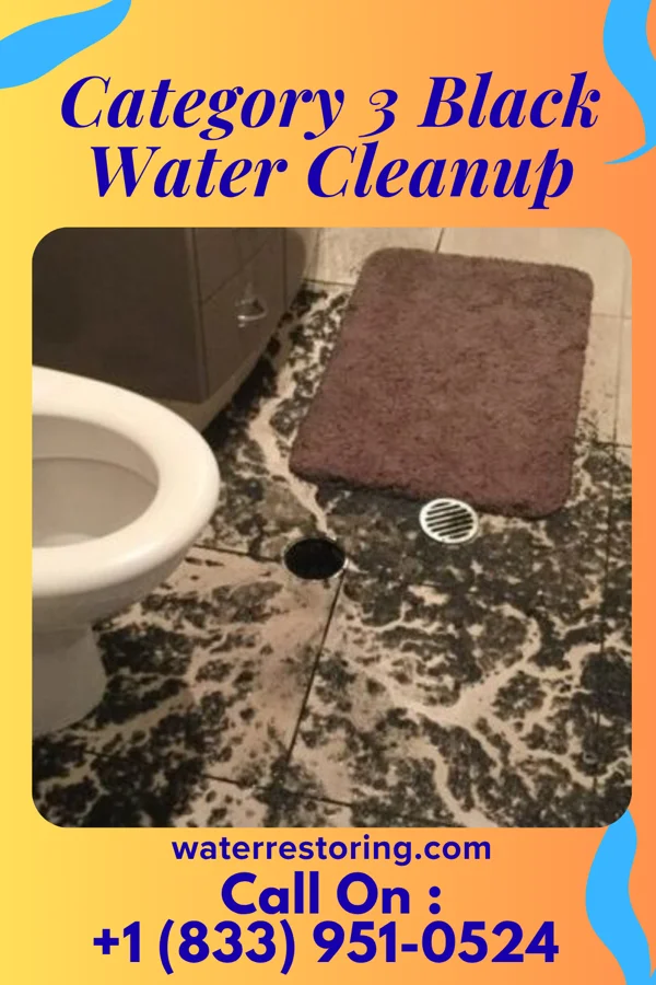 Category 3 Black Water Cleanup in Hackberry, TX