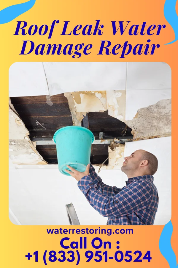 Roof Leak Water Damage Repair in Hackberry, TX