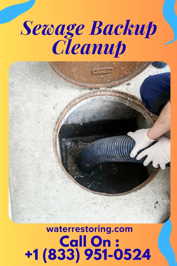 Sewage Backup Cleanup in Hackberry, TX