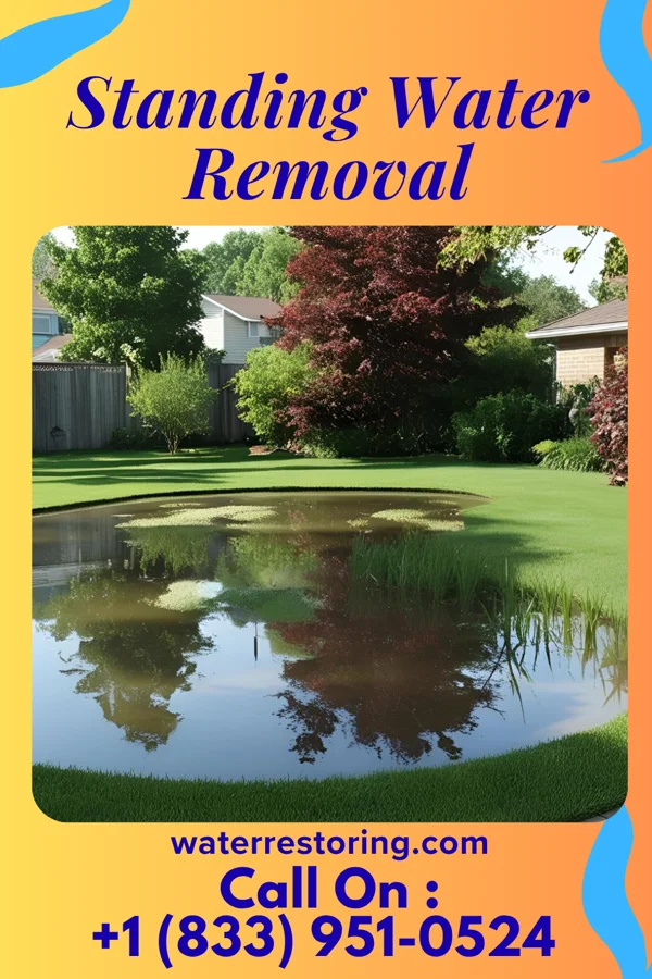 Standing Water Removal in Hackberry, TX